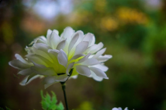 Fuji X-E1 shots and early image samples | Fuji X-E1 and X100(S) | Scoop.it