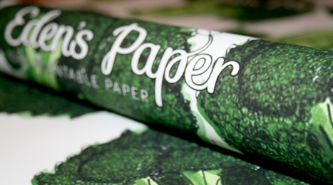 Plantable Wrapping Paper Is Embedded With Seeds / Eden's Paper / Springwise | Sustainability & Education | Scoop.it