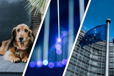 01net morning : 210 000 clients impactés par la cyberattaque de Chronopost, SFR coupe le câble, l'IA et les animaux | Cyber-sécurité | Scoop.it