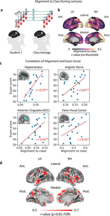 Neural alignment predicts learning outcomes in students taking an introduction to computer science course | Daily Magazine | Scoop.it