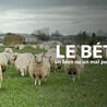 Elevage et environnement