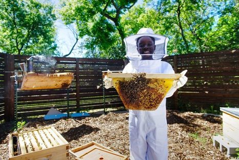 Preteen powerhouse: Meet 12-year-old CEO and bee ambassador Mikaila Ulmer - News Center | CLOVER ENTERPRISES ''THE ENTERTAINMENT OF CHOICE'' | Scoop.it
