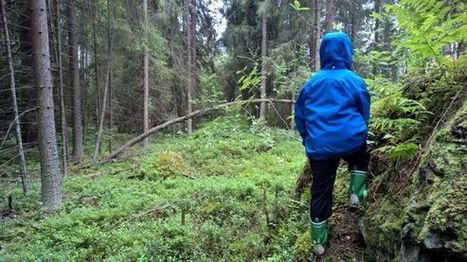 Paras huvi metsässä syntyy vapaasta leikistä: "Sammaleet ovat salaattia ja kuusenkävyt grillimakkaroita" | 1Uutiset - Lukemisen tähden | Scoop.it