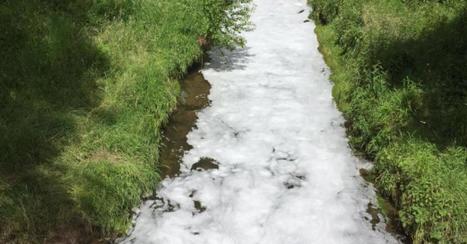 En Suisse, des pompiers découvrent une rivière… de bière! / 24.06.2016 | Pollution accidentelle des eaux par produits chimiques | Scoop.it