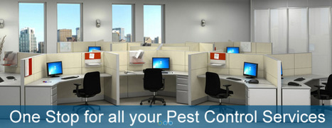 Best pest control services in gurgaon | Pest Control Services | Scoop.it
