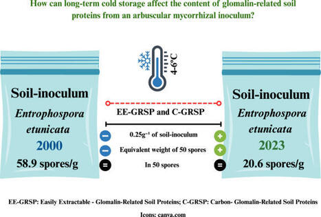 How can long-term cold storage affect the content of glomalin-related soil proteins from an arbuscular mycorrhizal inoculum? | Plant-Microbe Symbiosis | Scoop.it