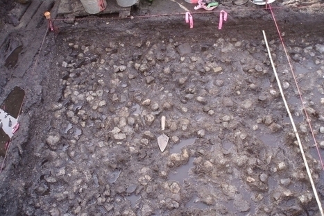Découverte d'un champ de patates vieux de 3 800 ans | Les Colocs du jardin | Scoop.it