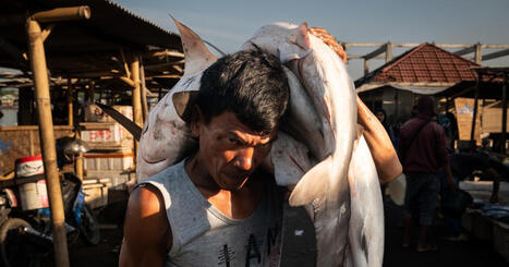 Photo essay: Southeast Asia's overfishing crisis &mdash; and the effort to uncover its roots | Coastal Restoration | Scoop.it