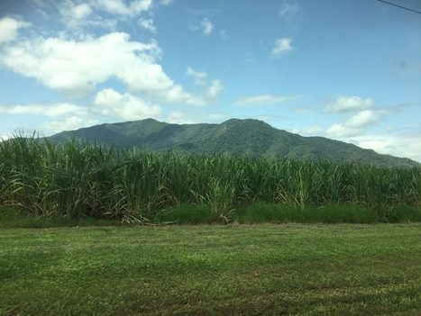 Helping sugarcane farmers reduce impacts of cropping on the Great Barrier Reef | GTAV AC:G Y9 - Biomes and food security | Scoop.it