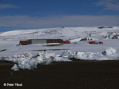 Une nouvelle expédition de chercheurs tchèques en Antarctique | EntomoNews | Scoop.it