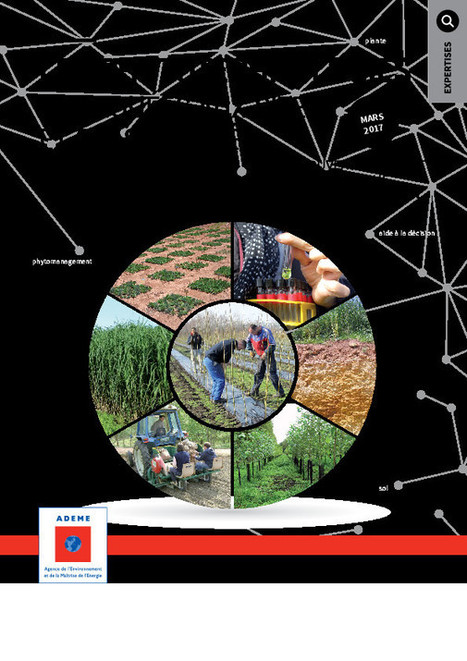 [Médiathèque] Les Phytotechnologies appliquées aux sites et sols pollués | Build Green, pour un habitat écologique | Scoop.it