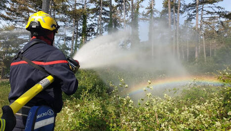 [Ici Occitanie] "Une zone de convergence et d'amplification du risque" : une grande &eacute;tude sur le risque incendie et les villes | Les laboratoires du CNRS Occitanie Ouest dans la presse | Scoop.it
