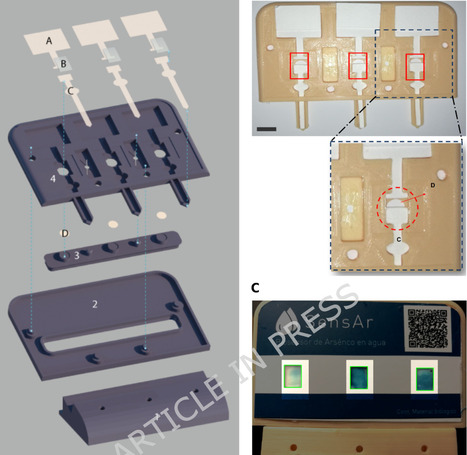 Design and implementation of an open-access arsenic biosensor | Srep | RMH | Scoop.it
