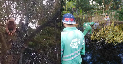 Environmental disaster: Oil workers face tough conditions to clean up oil spill after train collision in Cuba / le 12.12.2024 | Pollution accidentelle des eaux (+ déchets plastiques) | Scoop.it