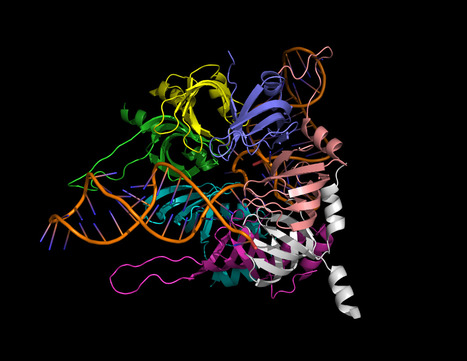 CRISPR/Cas9-mediated noncoding RNA editing in human cancers | Animal Models - GEG Tech top picks | Scoop.it