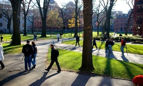 Harvard officially bans sex between undergraduate students and teachers ~ The Guardian ~ by Nicky Woolf | ED 262 mylineONLINE:  Gender, Sexism, & Sexual Orientations | Scoop.it