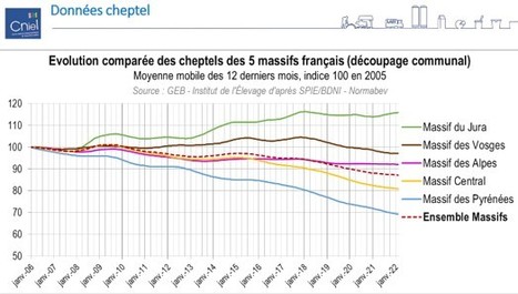 CNIEL : Conjoncture laitière montagne - 1er trimestre 2022 | Lait de Normandie... et d'ailleurs | Scoop.it