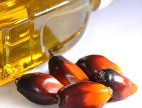 Institut économique Molinari | Taxes sur les huiles : les limites de la fiscalité comportementale | Pommes de terre transformées | Scoop.it