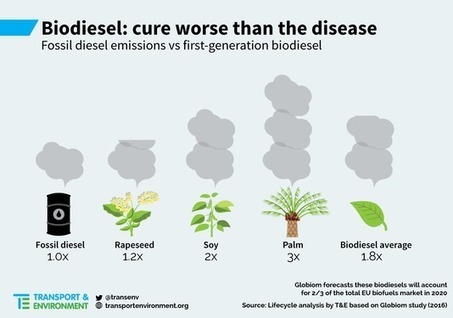 Les biocarburants émettent plus de CO2 que l’essence et le diesel | Ecologie & société | Scoop.it