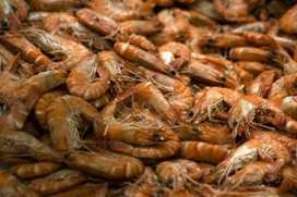 China's prawn scandal sparks consumer rights furore - BBC News | consumer psychology | Scoop.it