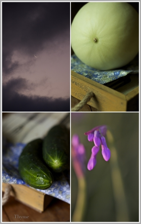 Thyme: Honey Dew, Cucumber, Mint Mojito for St. Paddy's Day...and thunderstorms | Music Music Music | Scoop.it