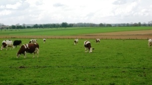 Prix du lait La hausse de la production laisse les prix bien inférieurs à l'objectif de 340 € | Economie de l'Elevage | Scoop.it