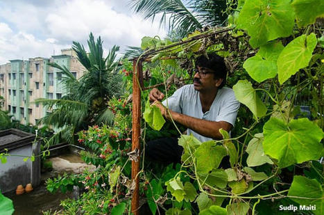 Colloque organisé par le Collège de France avec la Royal Society de Londres "Vers une société résiliente au changement climatique" | Les Colocs du jardin | Scoop.it