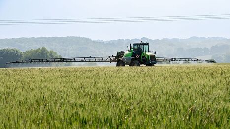 Un biofongicide du bl&eacute; bient&ocirc;t au catalogue de Syngenta gr&acirc;ce au fran&ccedil;ais Amo&eacute;ba | Revue de presse du Centre de doc | Scoop.it