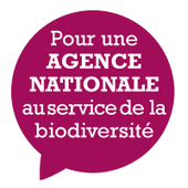 Pour une agence nationale au service de la biodiversit&eacute; - Minist&egrave;re du D&eacute;veloppement durable | Biodiversit&eacute; | Scoop.it