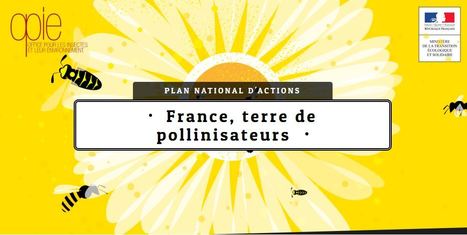 Le site « France, terre de pollinisateurs » est officiellement lancé | EntomoNews | Scoop.it
