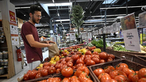 Le prix des fruits et l&eacute;gumes frais va-t-il augmenter &agrave; cause de la canicule&nbsp;? Ce qu&rsquo;en pense la profession - Ouest France [Abonn&eacute;s] | Agriculture en Pays de la Loire | Scoop.it