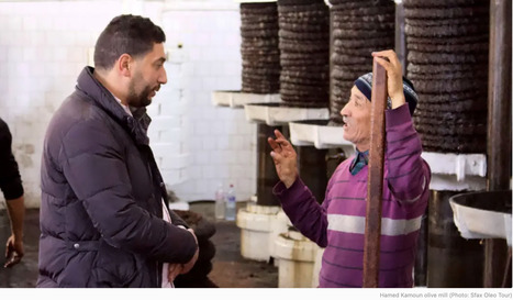 Tour in TUNISIA Explores Olive Oil Culture and Cuisine | CIHEAM Press Review | Scoop.it