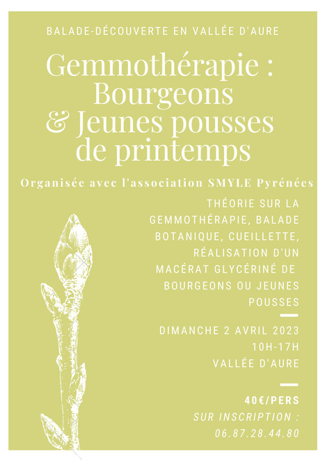 Balade botanique en vallée d'Aure le 2 avril | Vallées d'Aure & Louron - Pyrénées | Scoop.it