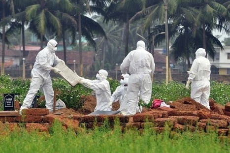 Gilead's Experimental Ebola Cure May Also Protect Against Nipah Virus - The New York Times | Virus World | Scoop.it