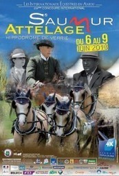 80 attelages représentant 11 nations à Saumur 6 au 9 juin | My Angers.info | Cheval et sport | Scoop.it