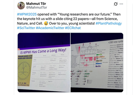 Medium: Stop displaying journal names on your slides (2025) | Publications | Scoop.it