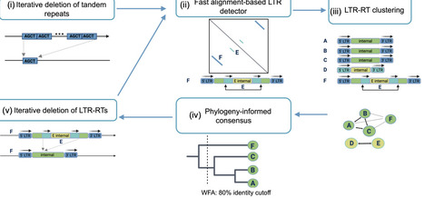 Efficient and precise discovery of LTR-retrotransposon families using HiRepEat | brvsys | RMH | Scoop.it
