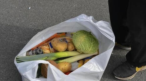 Un risque &eacute;lev&eacute; de tomber dans la pr&eacute;carit&eacute; alimentaire en France - Ouest-France | Revue de presse | Scoop.it