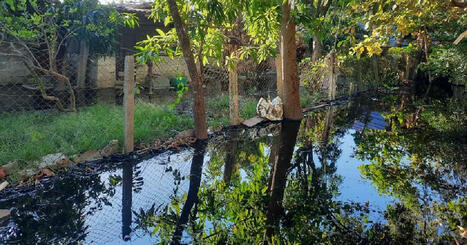 Image reveals the magnitude of the oil spill following a train accident in Cuba / le 07.12.2024 | Pollution accidentelle des eaux (+ déchets plastiques) | Scoop.it
