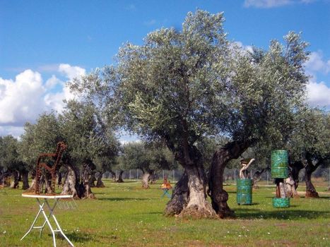 Iniciativas para fomentar la educación medioambiental | Educación, TIC y ecología | Scoop.it
