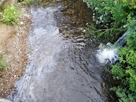 Cherbourg : des traces de pollution dans le Trottebec, la mairie et la CAC portent plainte | La Presse de la Manche / 11.06.2020 | Pollution accidentelle des eaux (+ déchets plastiques) | Scoop.it