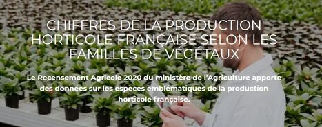 Chiffres de la production horticole selon le type de plantes | HORTICULTURE | Scoop.it