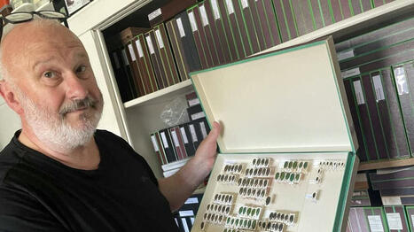 Collecter, identifier et classer les insectes | EntomoScience | Scoop.it