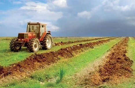 Agriculture : le Maroc et la FAO signent deux conventions | MED-Amin network | Scoop.it