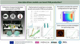 Improving PHB production in cyanobacteria: Modeling the optimal light regime for growth | RMH | Scoop.it