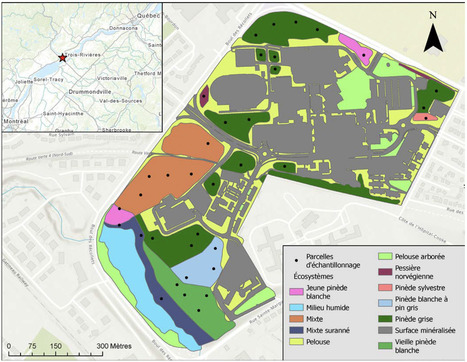 Original Paper in&nbsp;Nat Can &bull; Maire Lab 2026 &bull; Services et risques &eacute;cosyst&eacute;miques de la nature urbaine : un indice int&eacute;gr&eacute; appliqu&eacute; au campus de l&rsquo;UQTR | Originals | Scoop.it