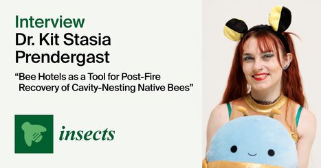 Insects | Interview with the Author—Dr. Kit Stasia Prendergast | EntomoScience | Scoop.it