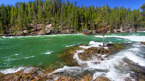 Prospects Minimal To Recover More Oil From Yellowstone Spill / www.seattle.obslocal.com du 25.03.2015 | Pollution accidentelle des eaux (+ déchets plastiques) | Scoop.it