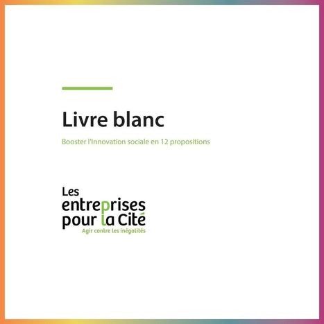 12 proposition pour booster l'innovation sociale [Livre Blanc] | Mécénat participatif, crowdfunding & intérêt général | Scoop.it