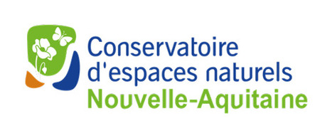 Glossaire | brandes-de-montmorillon | DictiHOnnaires! | Scoop.it